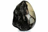 Septarian Dragon Egg Geode - Sparkly Black Crystals #308808-2